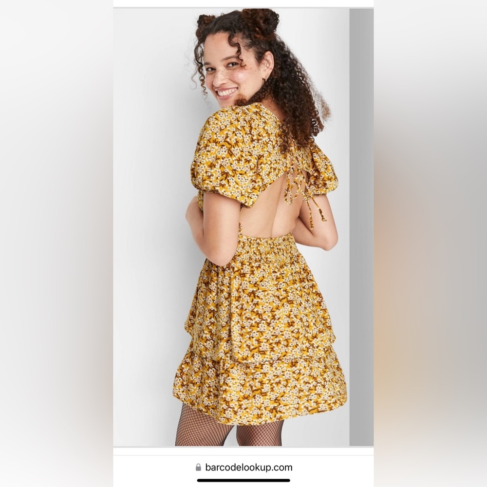 Wild fable dress